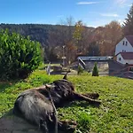 Tannenblick Appartement