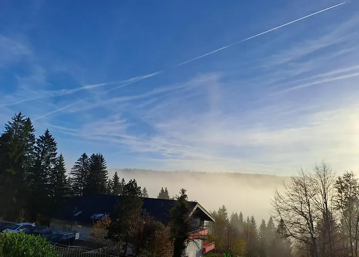 Tannenblick Apartment