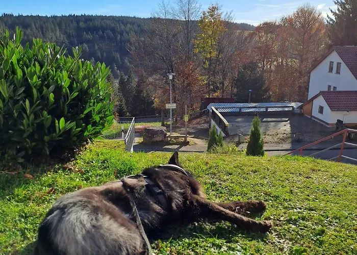 Tannenblick Apartment